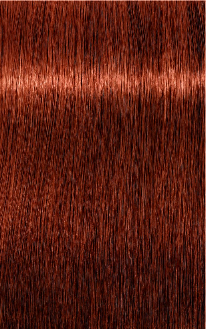 Igora Royal - 6-77 Dunkelblond Kupfer Extra