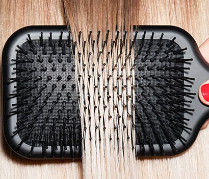 brushes-410x350px_800x800