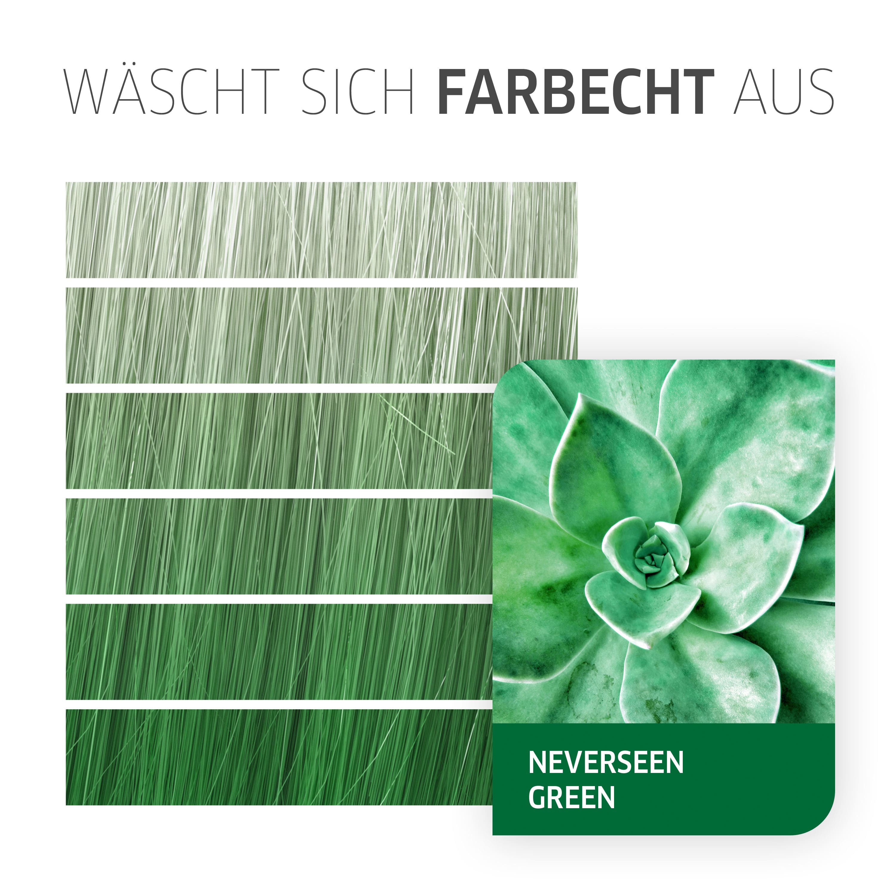 Color Fresh Create