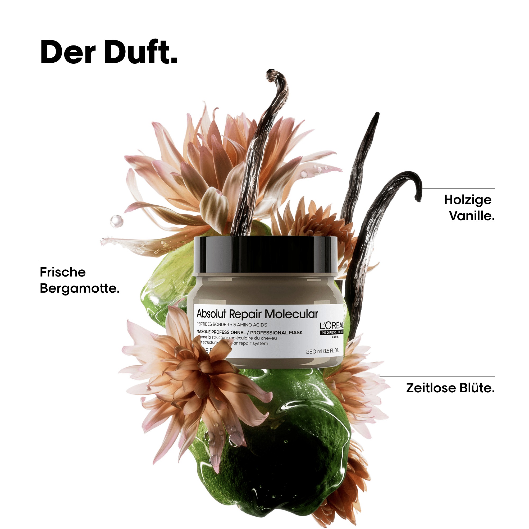 Absolut Repair  Molecular Maske