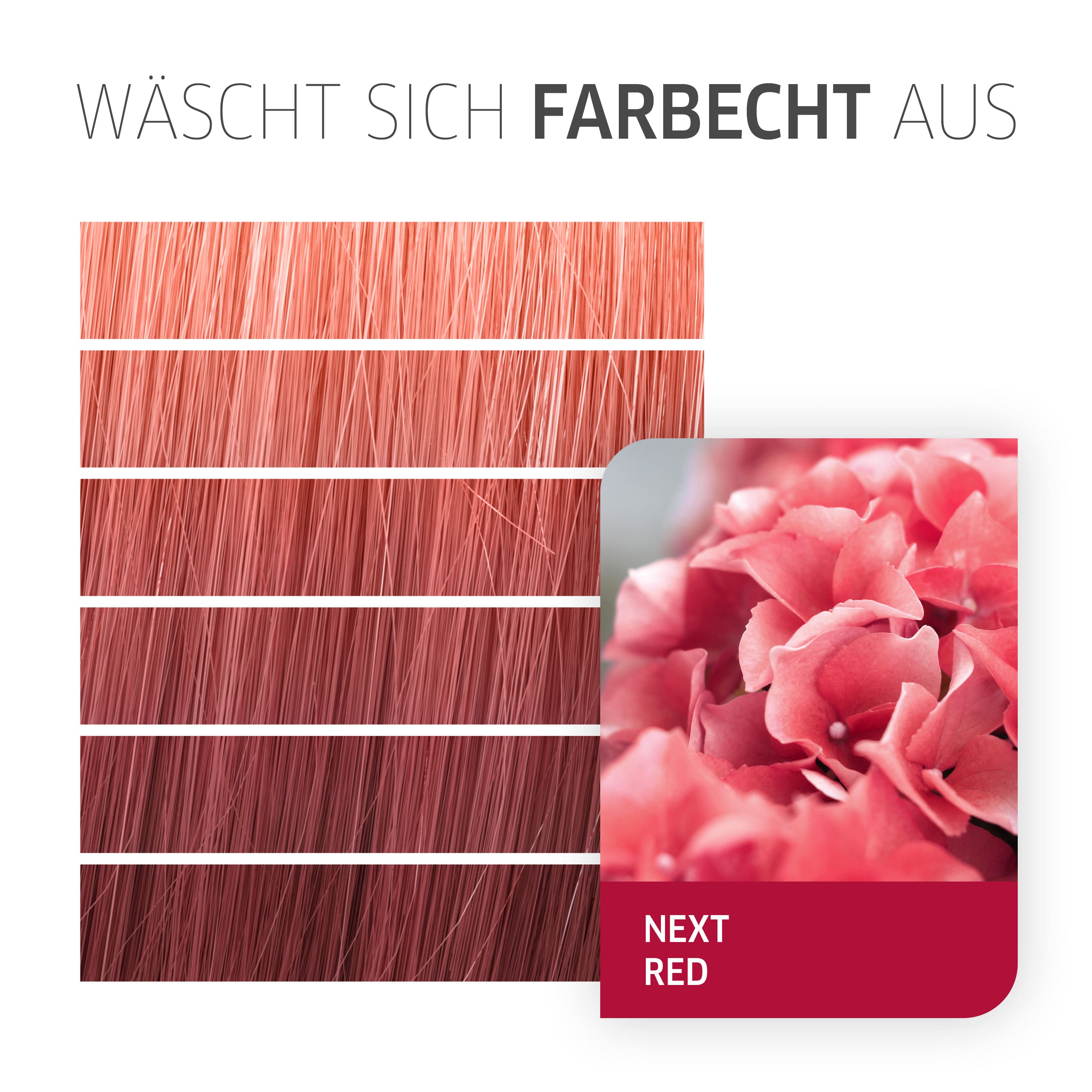 Color Fresh Create
