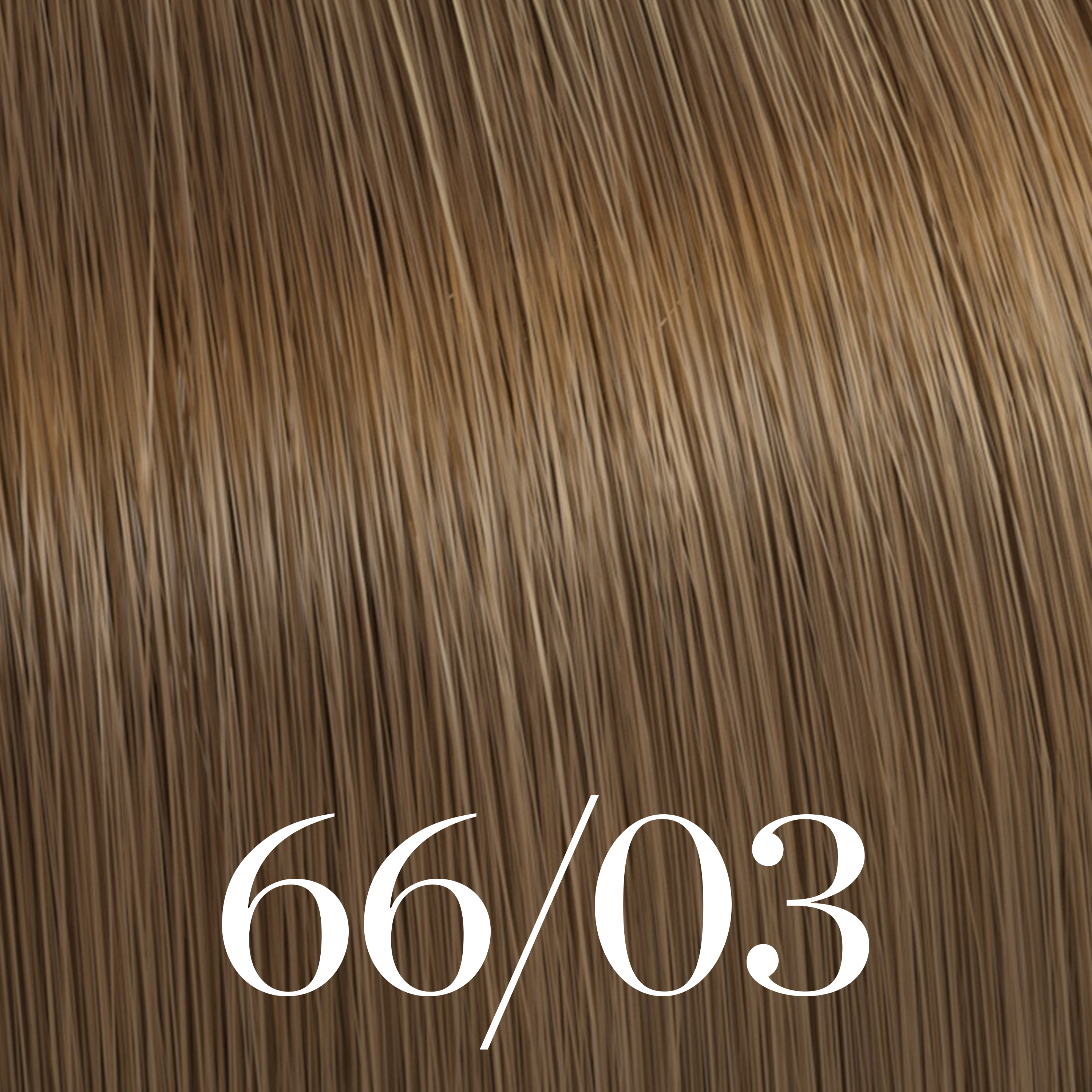Color Touch Plus - 66/03 dunkelblond intensiv natur gold