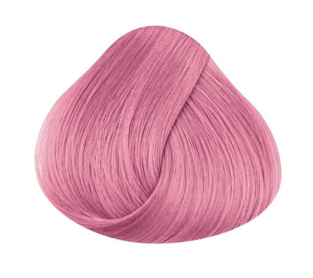 Pastel Rose