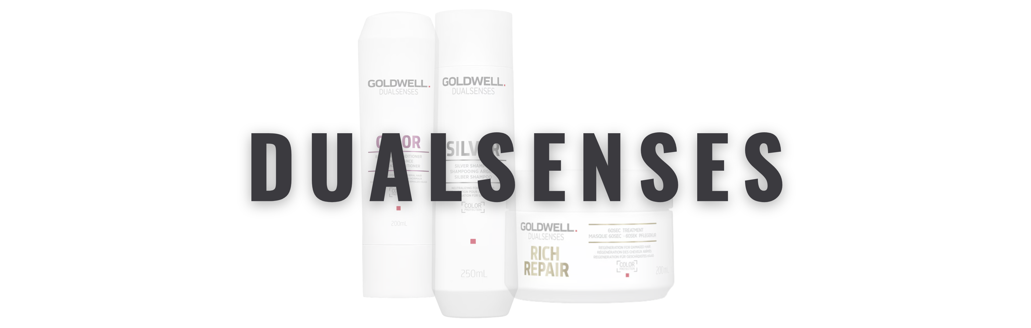 Dualsenses Banner_(1)