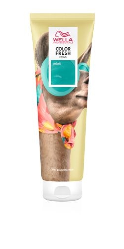 Color Fresh Mask - Mint