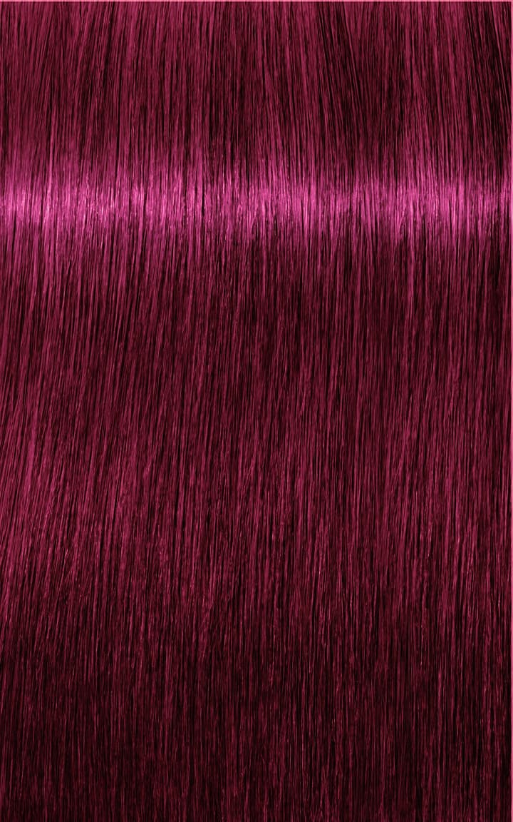 Igora Royal - 6-88 Dunkelblond Rot Extra