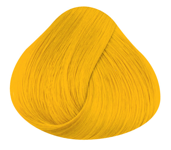 Smalto per FERRO a solvente per interni ed esterni RAL Giallo Smalto per FERRO a solvente per interni ed esterni RAL Giallo