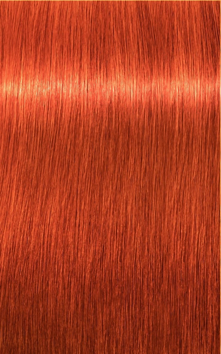Igora Royal - 8-77 Hellblond Kupfer Extra