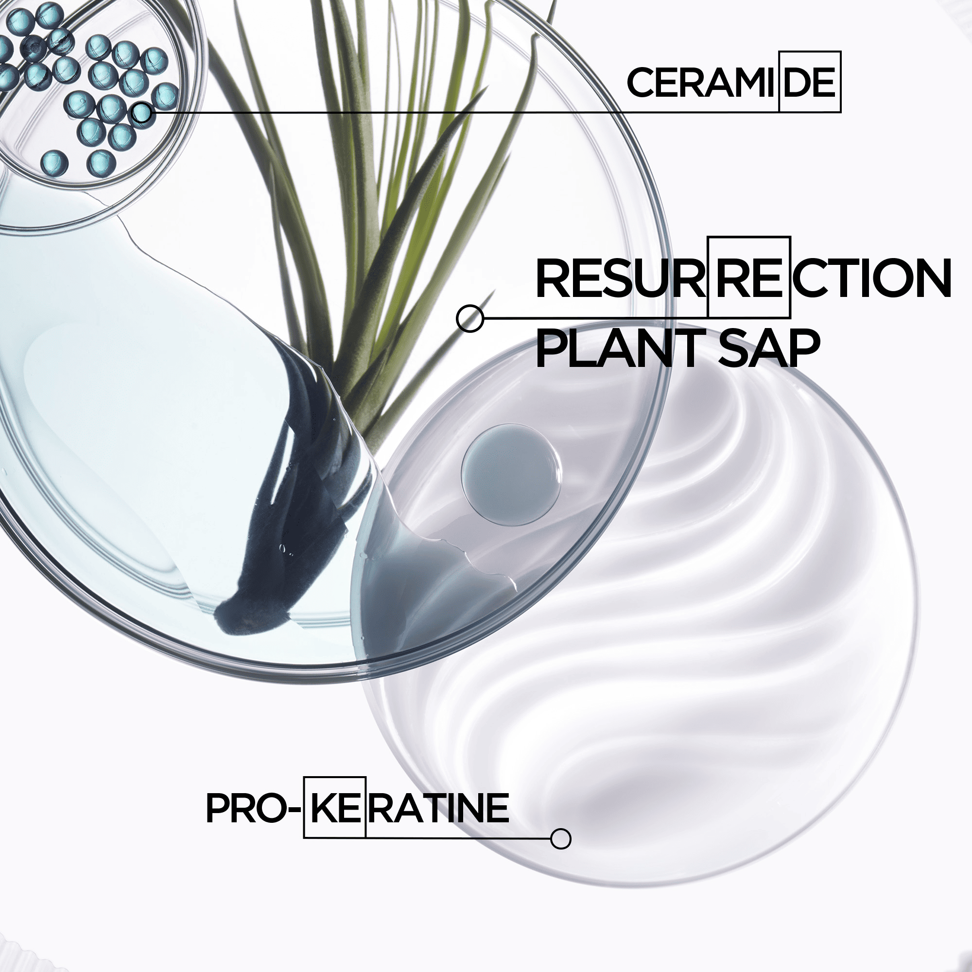 RâˆšÂ©sistance Ciment Anti-Usure