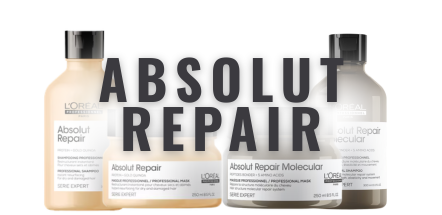 Absolut Repair_(1)