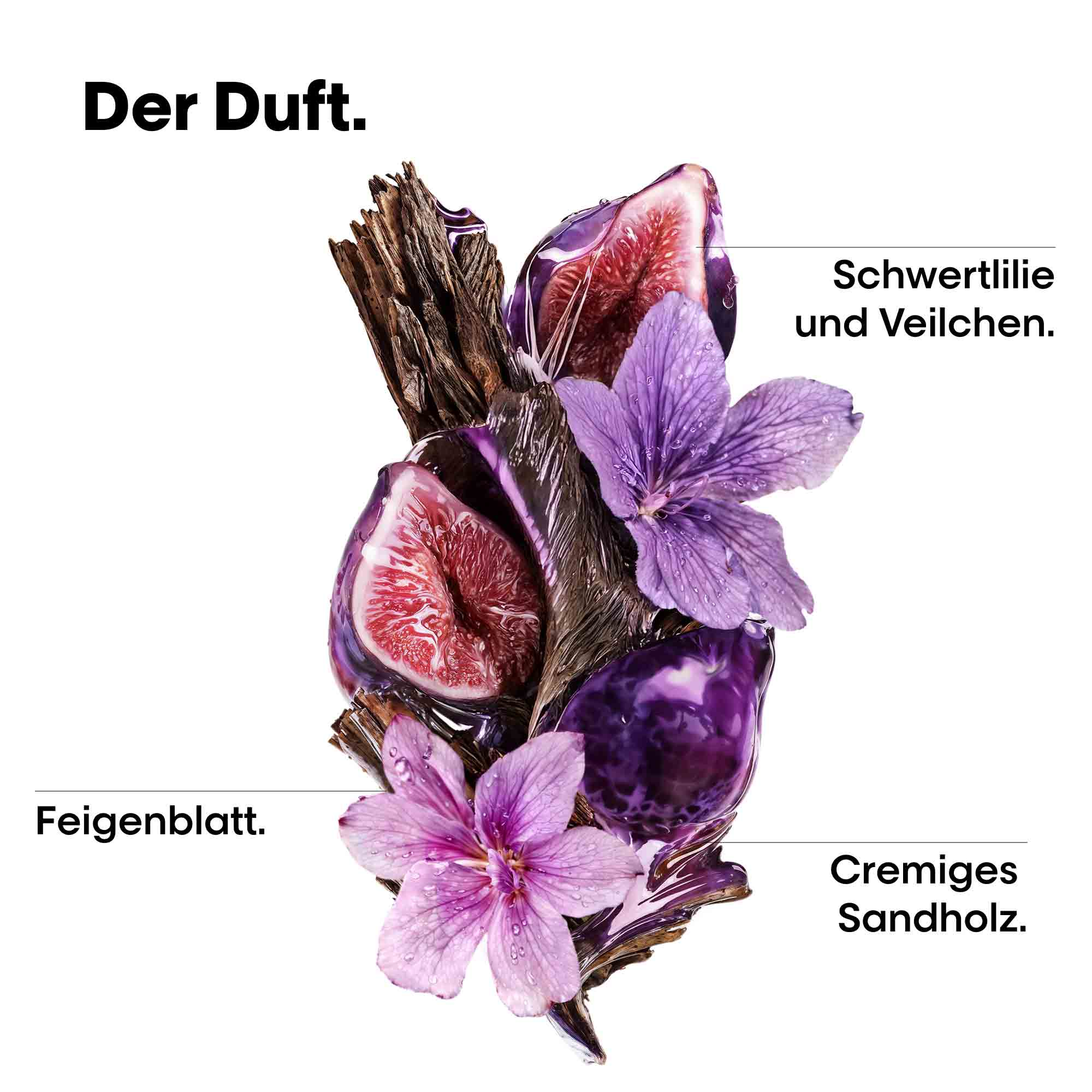 Serie Expert Keratin Alpha Sleek Shampoo 300 ml