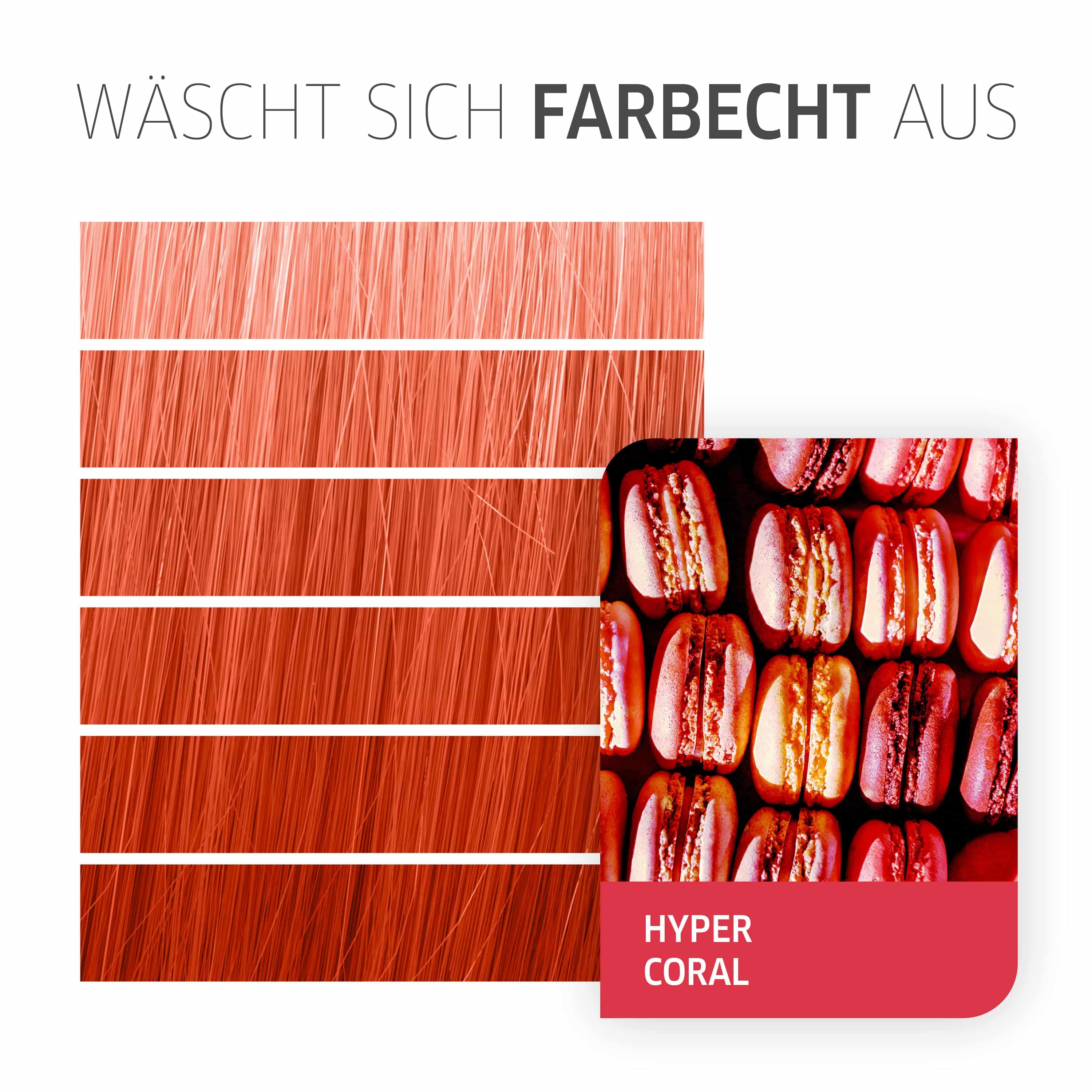 Color Fresh Create