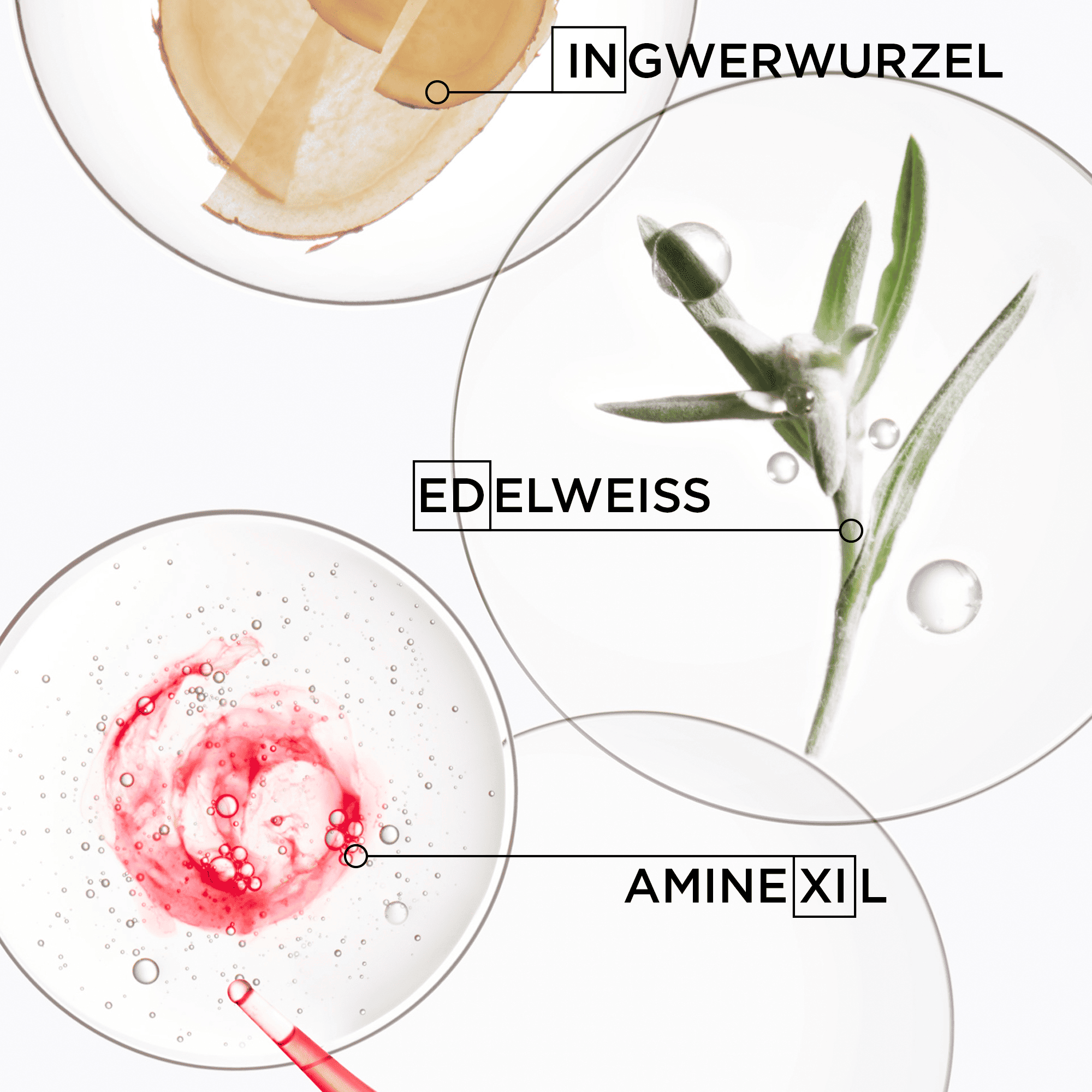 Genesis Bain Hydra Fortifiant Nachfüllpackung