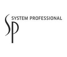 System Professional