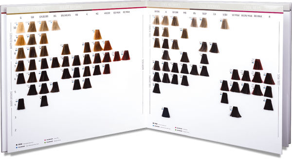 Goldwell Topchic & Colorance Farbkarte