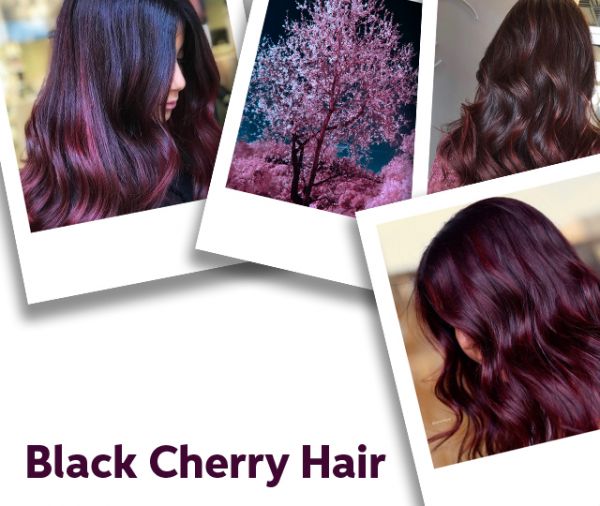 WellaPro_Blog_Black_Cherry_Hair_HairMOBILE