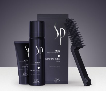 Wella SP Men