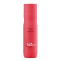 Invigo Color Brilliance Shampoo feines/normales Haar